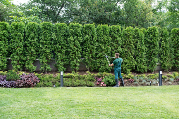 Artificial Turf Installation in Fort Hood, TX